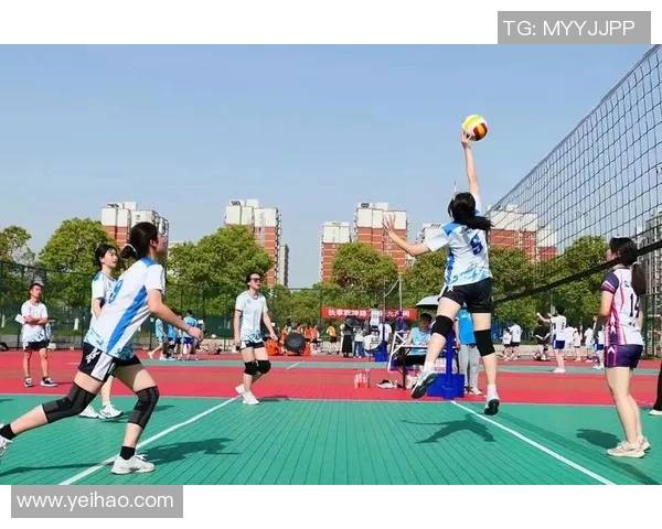 吴强独家解析排球技巧与心得分享助你提升竞技水平