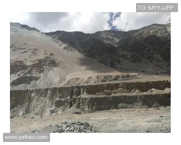 对话王秀英：探索和平精英背后的成长与挑战之路