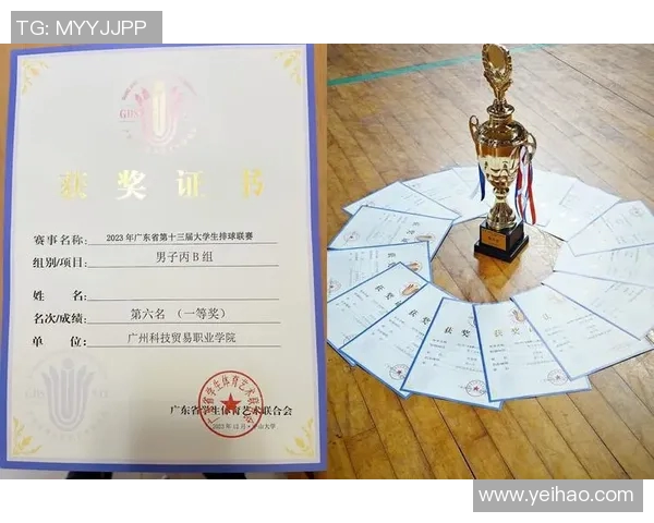 广州排球队在全国排球技术排行榜中荣获第八名展现实力与潜力