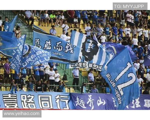 广州飞盘队的运营揭秘与发展策略分析深度探讨