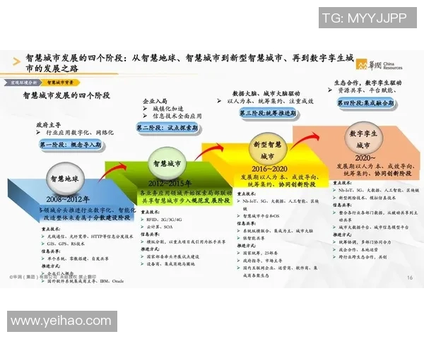 成都篮球队的转型之路：深度解析球队发展与未来展望