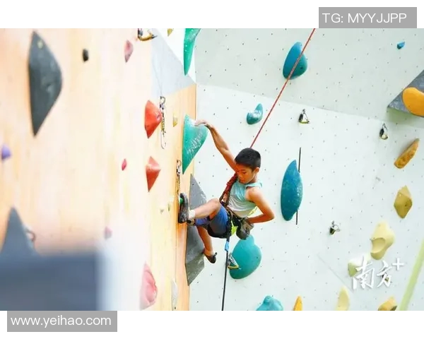杭州攀岩队成长之路：一段勇攀高峰的励志纪实故事