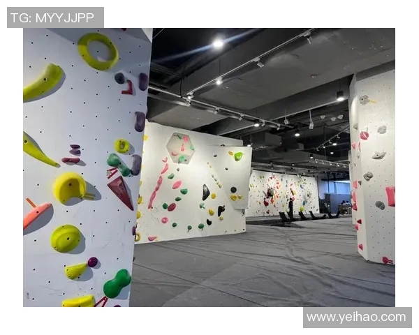 武汉攀岩队协作新模式探索热议攀岩运动的未来发展与挑战