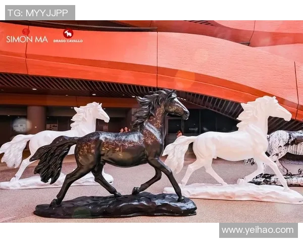 赵娜的攀岩人生：在高峰之上与自我的深度对话与探索