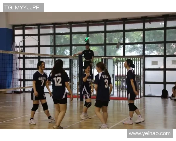 重庆排球队的团队协作精神与排球竞技的完美结合探讨