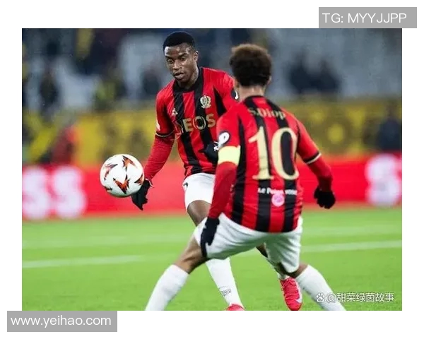 尼斯与南特实力对比分析谁能在比赛中占据上风