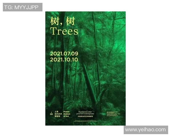 李泓澎的艺术之路：从初学者到当代艺术家的蜕变与探索