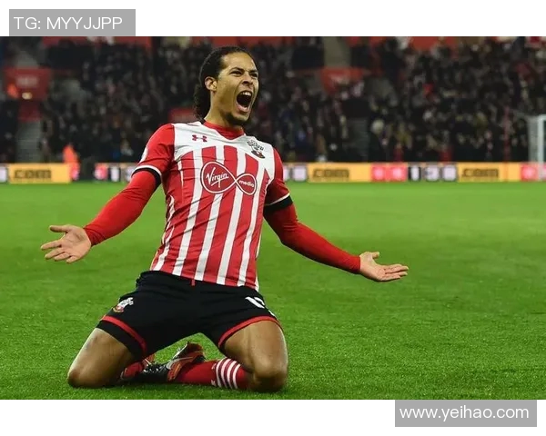 范戴克：从天才少年到足坛巨星的辉煌历程与传奇故事