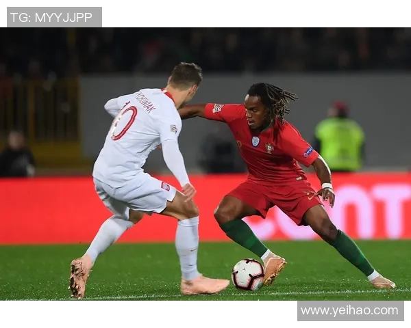 葡萄牙与波兰精彩对决集锦回顾球星表现与战术分析全景呈现