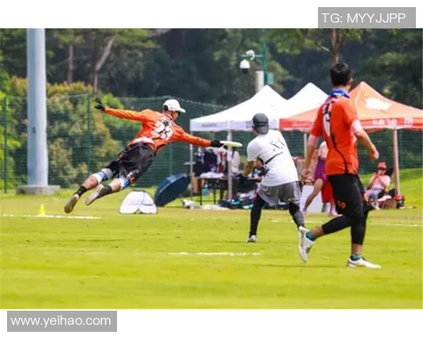 飞盘之光：深入深圳飞盘队的精神与实力探秘之旅