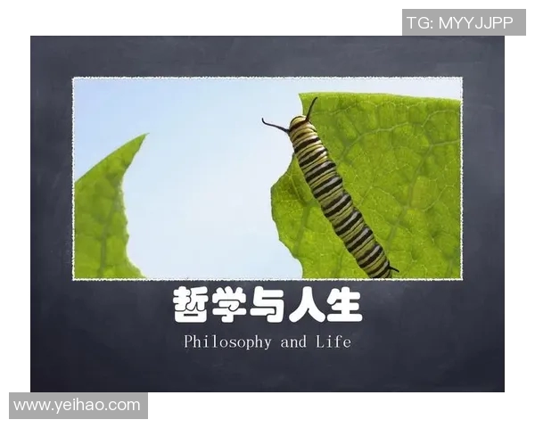 吕俊虎的奋斗故事与人生哲学探讨如何在逆境中崛起与成长