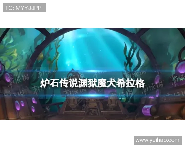 弗格的传奇人生与时代交织的辉煌成就探索